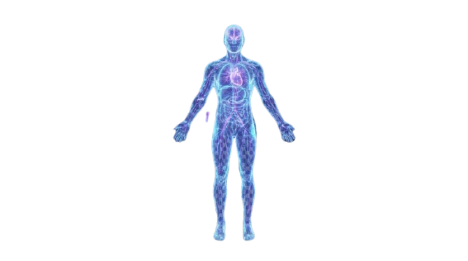 Body Reading Health Assessment